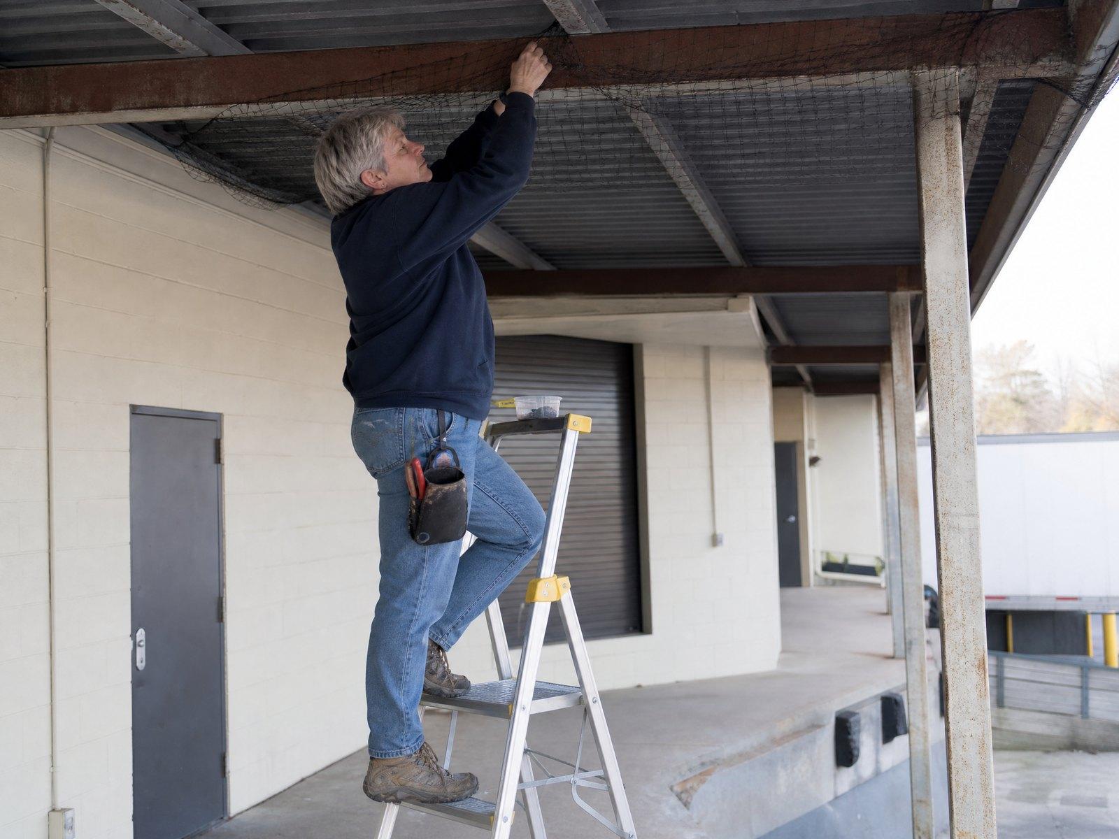 Installing bird netting at a loading dock